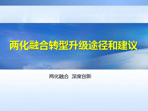 两化融合转型升级途径和建议