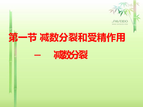 高中生物《减数分裂(3)》优质教学课件