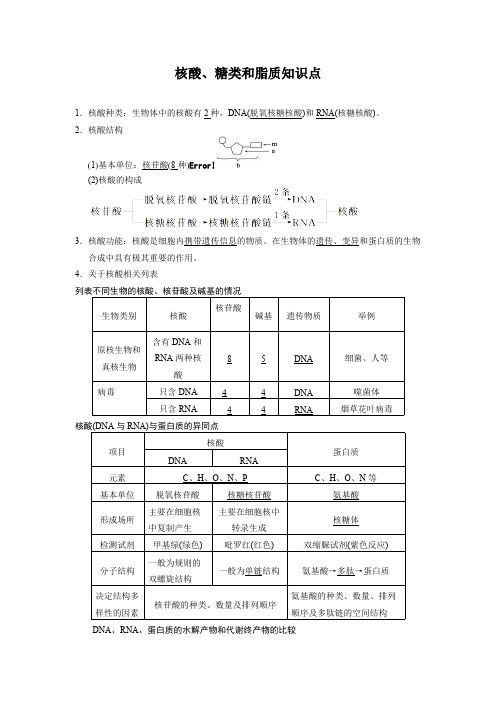 (完整版)核酸糖类脂质知识总结,推荐文档