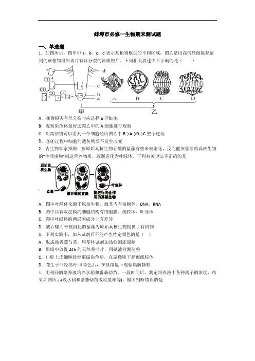 蚌埠市必修一生物期末测试题