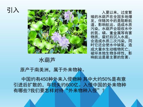 新人教版七年级生物下册《第六章 人体生命活动的调节 王应睐组织我国科学家率先合成结晶牛胰岛素》课件_1