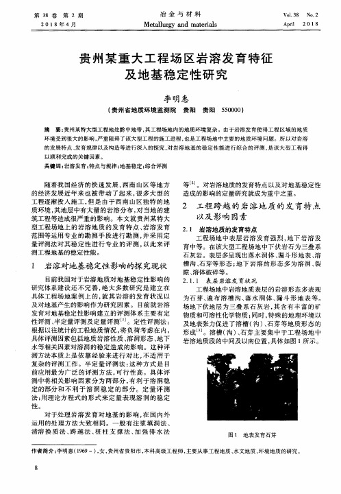 贵州某重大工程场区岩溶发育特征及地基稳定性研究