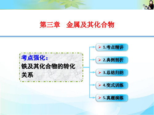 2016年高考一轮复习高三化学考点课件：3-15.考点强化____铁及其化合物的转化关系