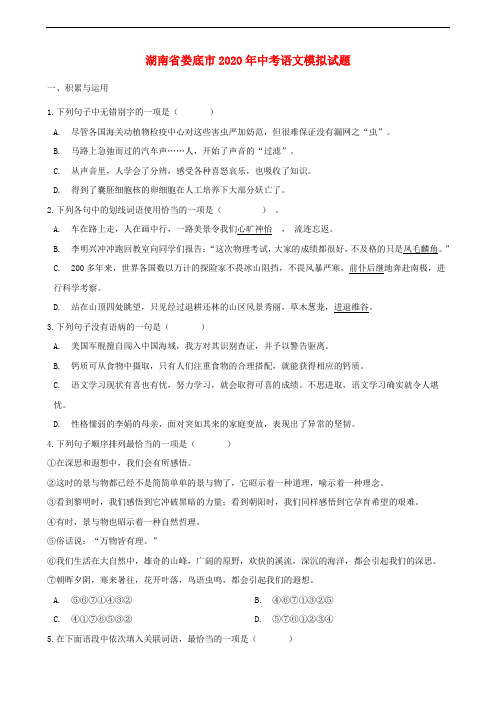 湖南省娄底市2020年中考语文模拟试题及答案(Word版)