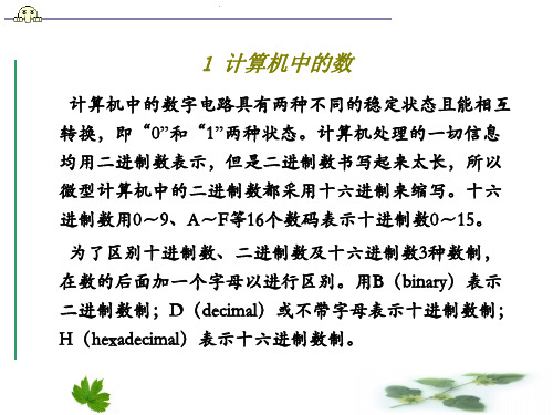 微机原理   数制