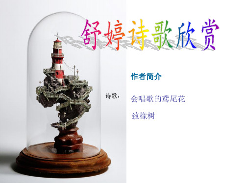 舒婷诗歌欣赏