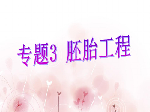 胚胎工程课件