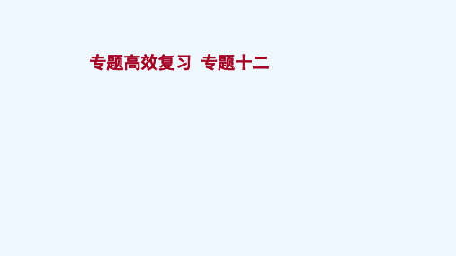 2022版高考历史一轮复习专题高效复习专题十二当今世界经济的全球化趋势课件人民版