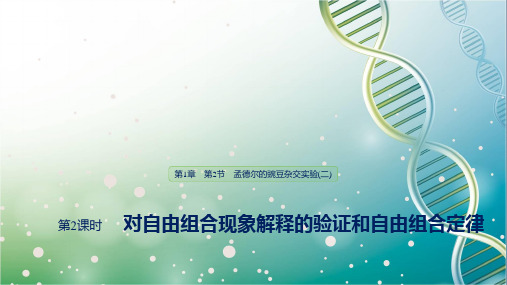 高中生物必修二优质课件：1.2.2 对自由组合现象解释的验证和自由组合定律