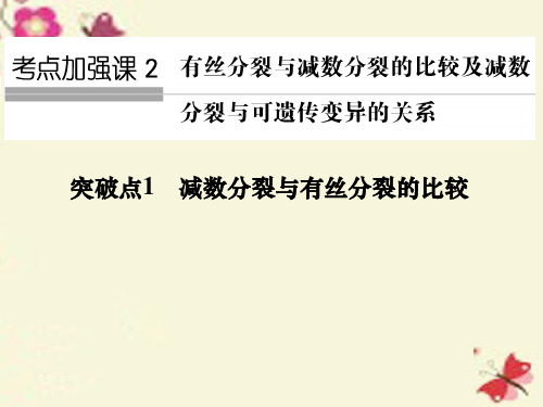 高考生物一轮复习 考点加强课2 有丝分裂与减数分裂的比较及减数分裂与遗传变异的关系课件 新人教版