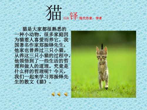 【最新】人教版七年级语文下册《第26课 猫》课件(共83张PPT)