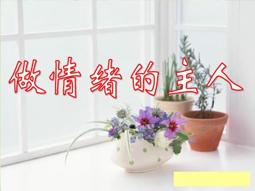 七年级政治上册 做情绪的主人课件 人教新课标版