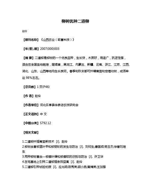 柳树优种二道柳