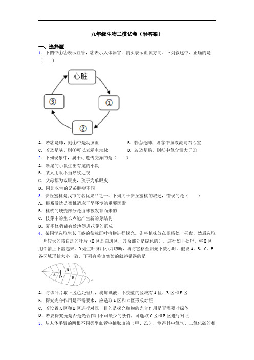 九年级生物二模试卷(附答案)