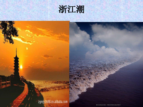 北师大版语文第九册《浙江潮》PPT课件2   大赛获奖精美课件PPT
