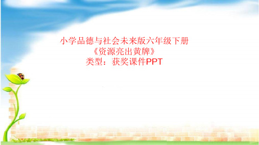 小学品德与社会未来版六年级下册资源亮出黄牌  课件PPT