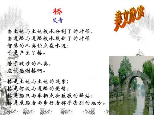 人教版语文八年级上册第三单元第十二课桥之美ppt课件