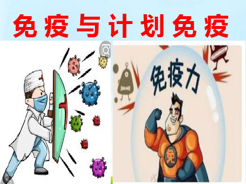 人教版八年级生物下册课件：8.1.2免疫与计划免疫
