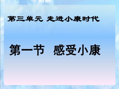 思想品德湘师八年级下册《第一节 感受小康》课件