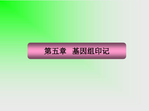 基因组印记