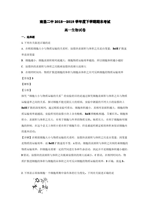 江西省南昌市二中2018-2019学年高一生物下学期期末考试试题(含解析)