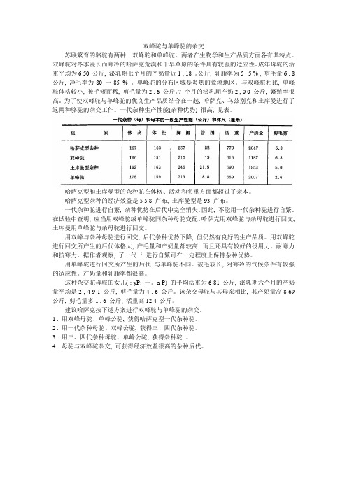 双峰驼与单峰驼的杂交