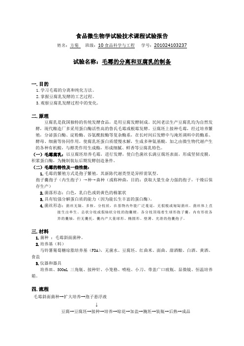 毛霉的分离和豆腐乳的制备