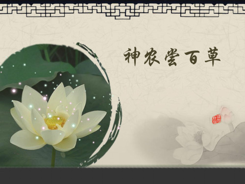 中医药文化社团——神农尝百草PPT课件