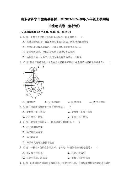 山东省济宁市微山县鲁桥一中2023-2024学年八年级上学期期中生物试卷(含解析)