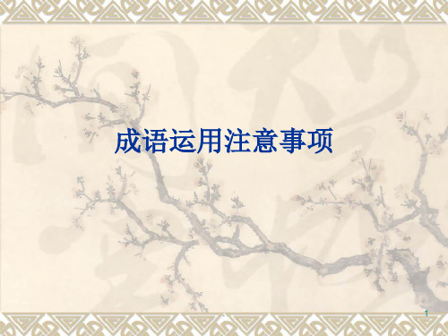 成语运用注意事项PPT课件