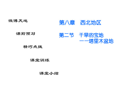 人教版八下地理第八章第二节 干旱的宝地——塔里木盆地课件