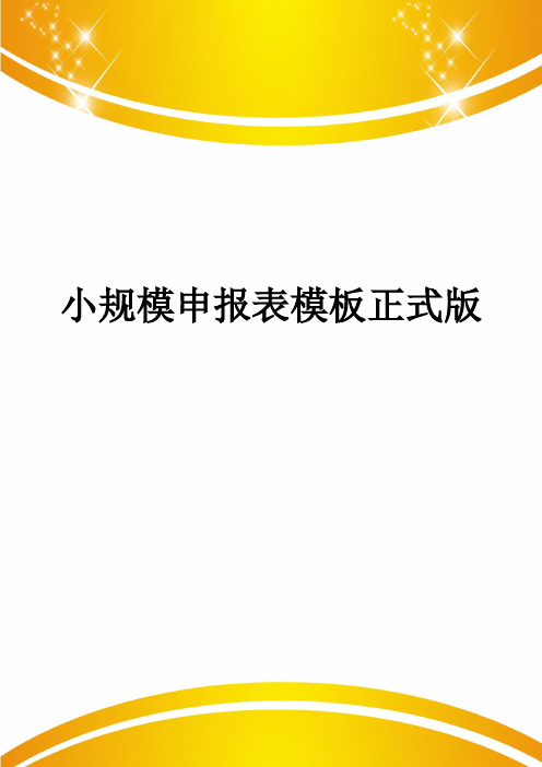 小规模申报表模板正式版