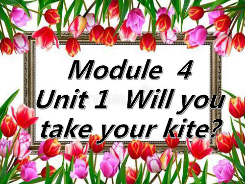 新标准小学英语(外研社三年级起)四年级下册课件M4 U1  Will you take your kite