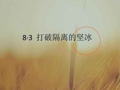 人民版高中历史必修3专题8-3 打破隔离的坚冰课件2 共1