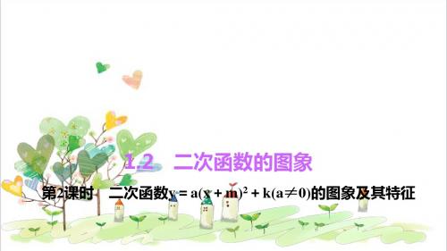 初中数学九年级上册《1.2 二次函数的图象》PPT课件 (2)