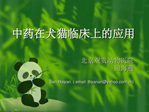 中药和针灸在犬猫临床的应用