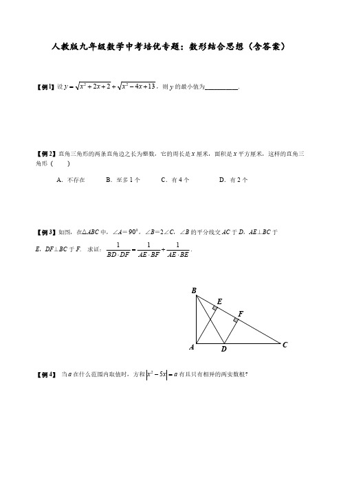 人教版九年级数学中考培优专题：数形结合思想(含答案)