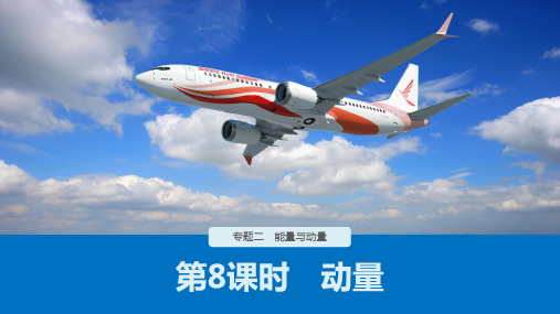 高考物理二轮专题复习讲练课件动量名师课件