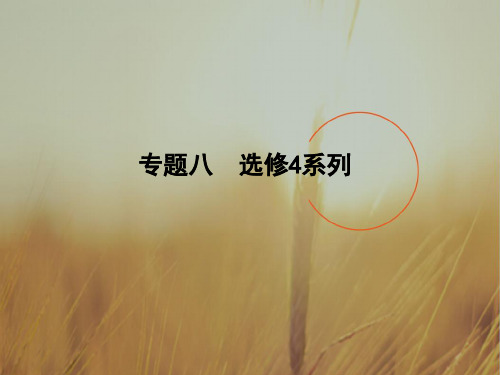 2018届高三数学文二轮复习课件全国通用方法突破 专题八 选修4系列 精品