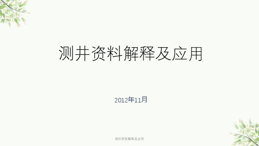 测井资料解释及应用课件