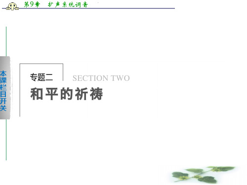 《学案导学设计》高一语文配套课件：2.1一个人的遭遇(节选)(苏教必修2)