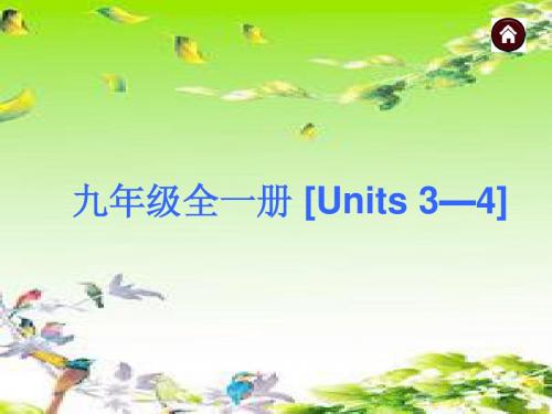 2015年中考复习九年级英语 Units3-4 基础精梳理