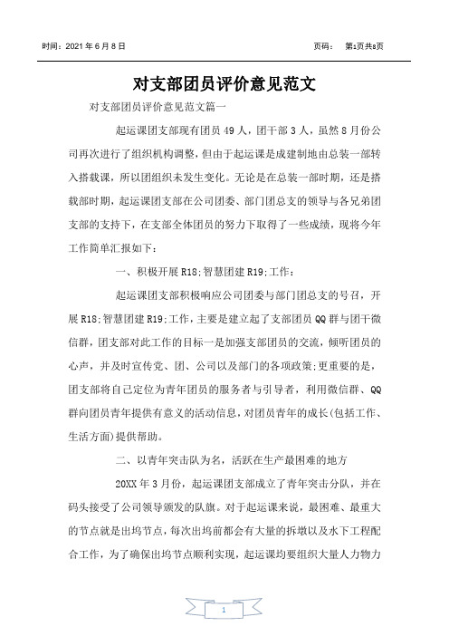 对支部团员评价意见范文