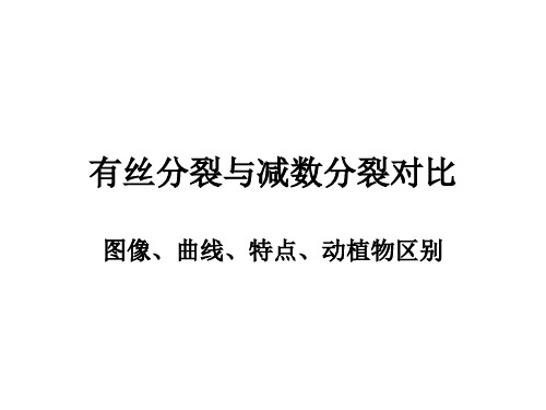 有丝分裂与减数分裂对比
