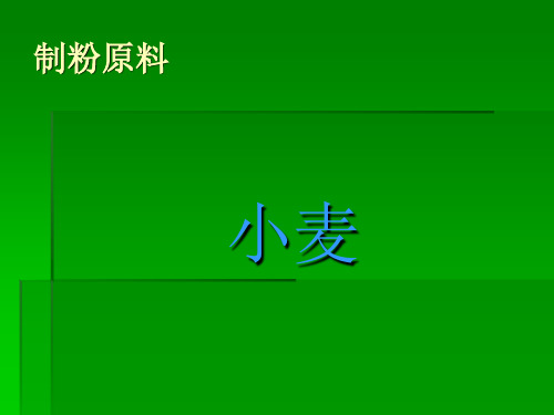 面粉知识