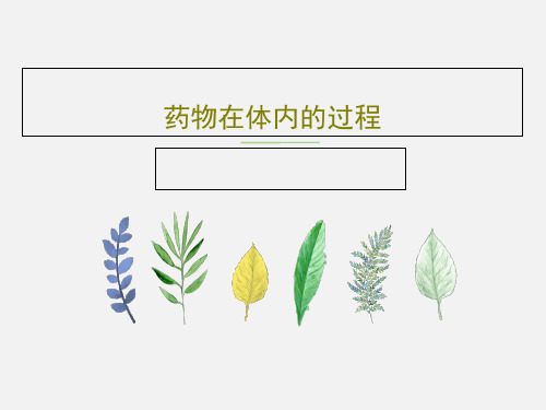 药物在体内的过程共58页文档