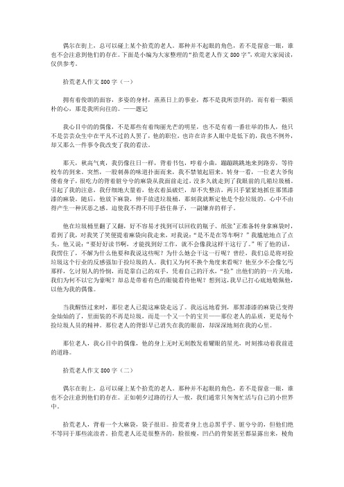 拾荒老人作文800字