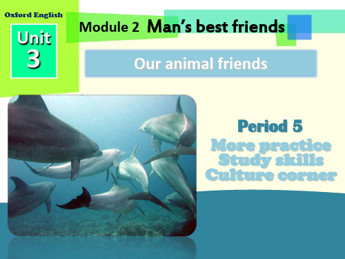 沪教版(牛津)七年级英语下册Unit 3  Our animal friends - Period 5   公开课PPT课件