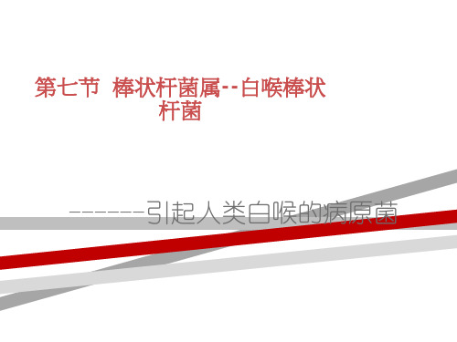 白喉棒状杆菌.ppt