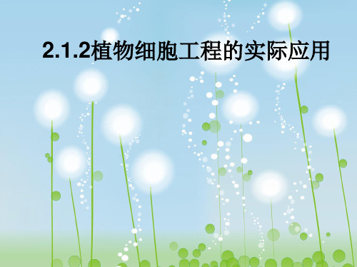 植物细胞工程的实际应用PPT教学课件
